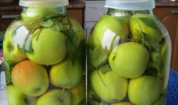 Как делать моченые яблоки антоновка