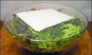 Как надолго сохранить листовой салат свежим Как сохранить салатные листья свежими